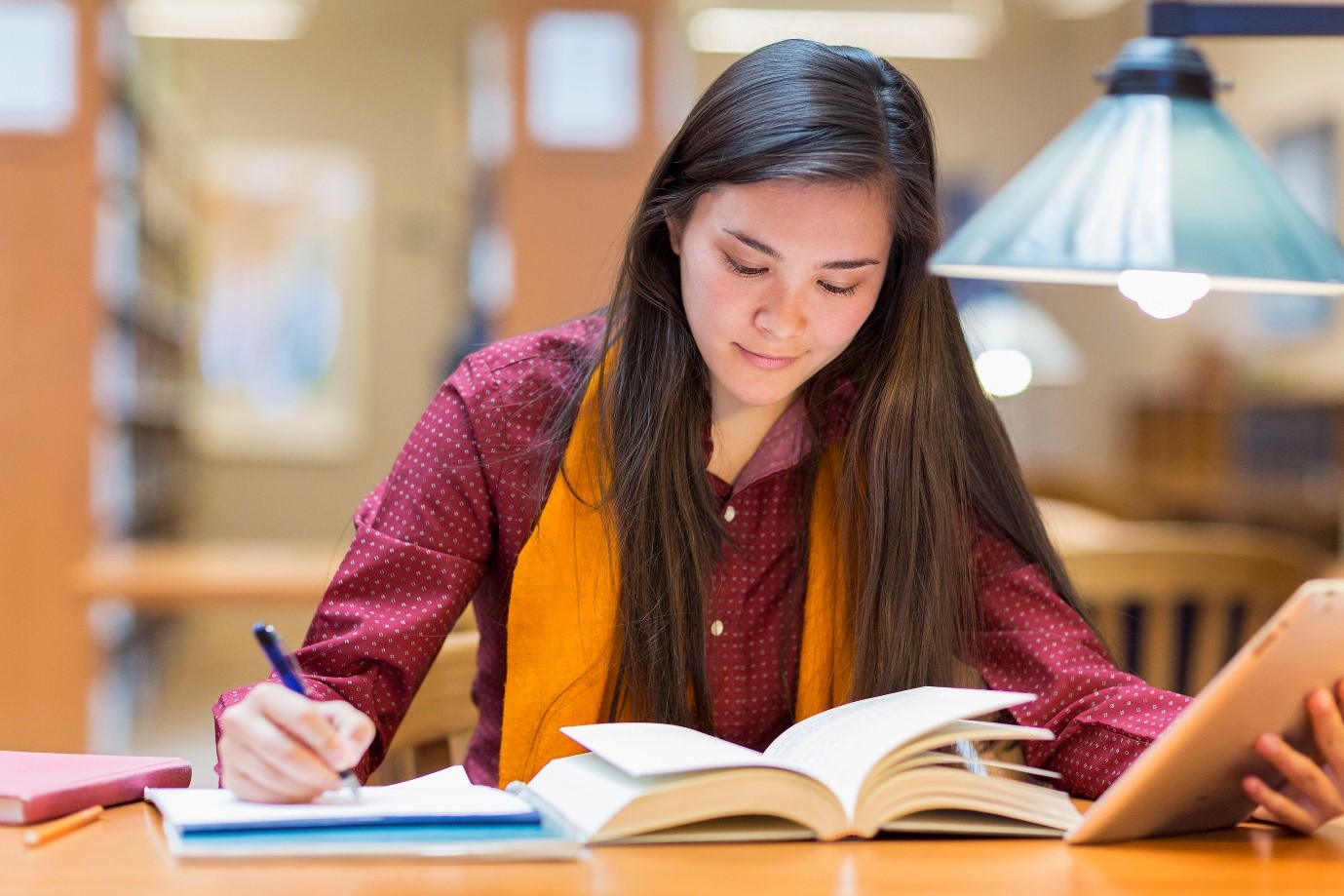 Person reading a text book